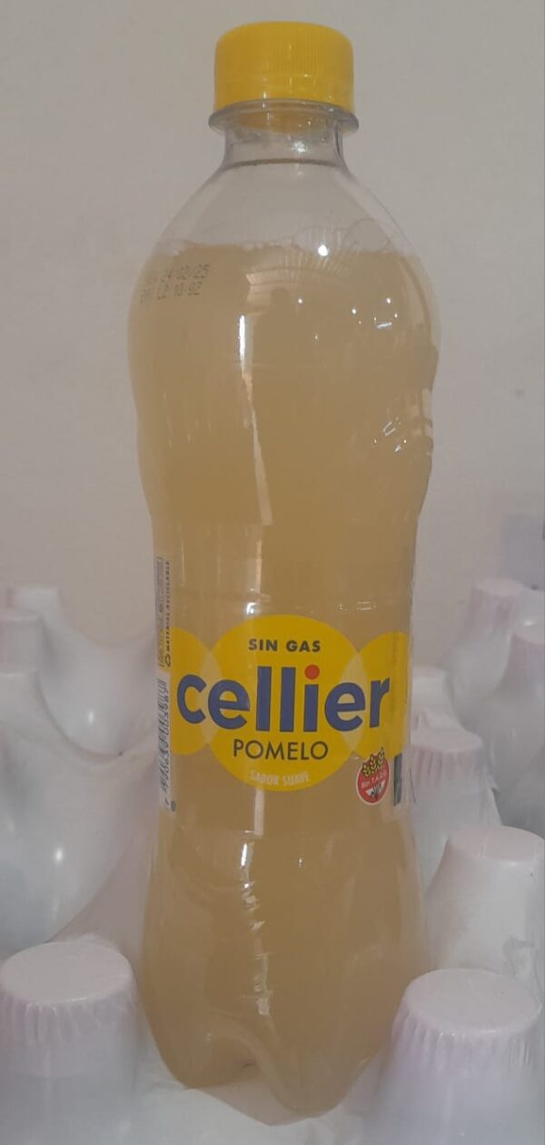 CELLIER NARANJA 600ml